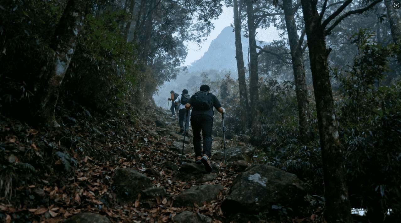 轻蜂加速器历史版本全面回顾与下载指南
